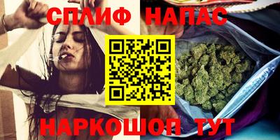 СК Балашиха