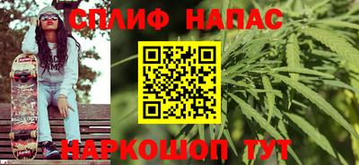 apvp Бийск